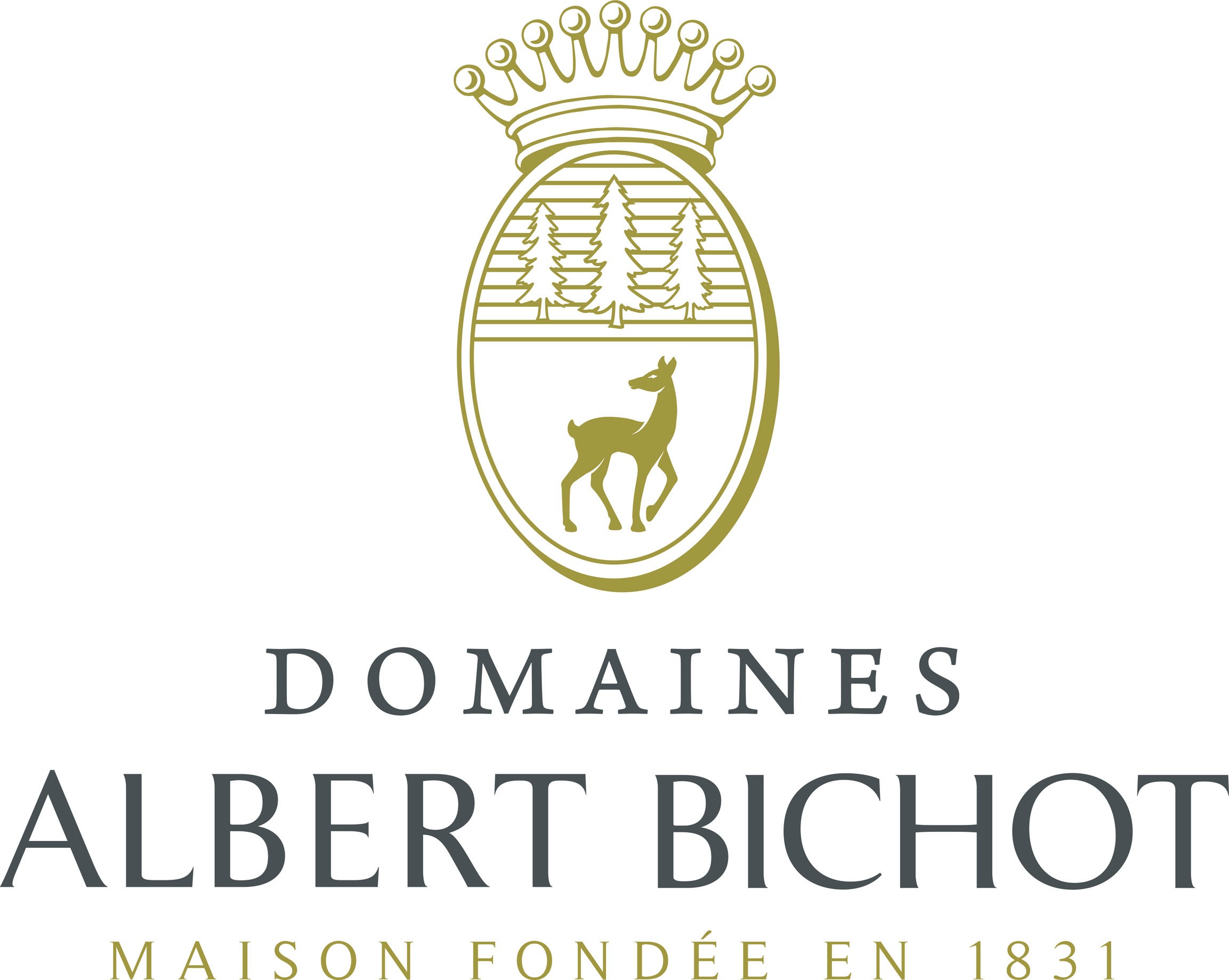 Rare Tasting of Domaines Albert Bichot Wines