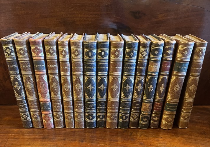 Collection of fifteen antique literature books