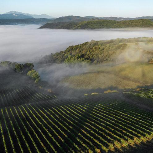 Wine Club March 26: Demystifying European Appelations