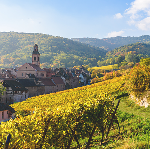 Wine Club: Wines of Alsace, September 24