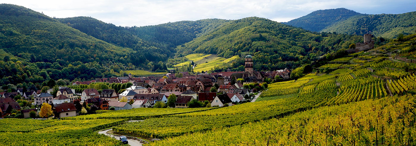 Taste the Wines of Alsace at the Wine Club September 24