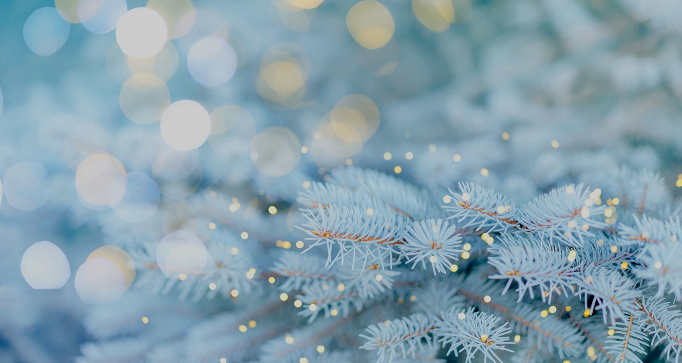 Holiday Bash at the Alliance! December 10