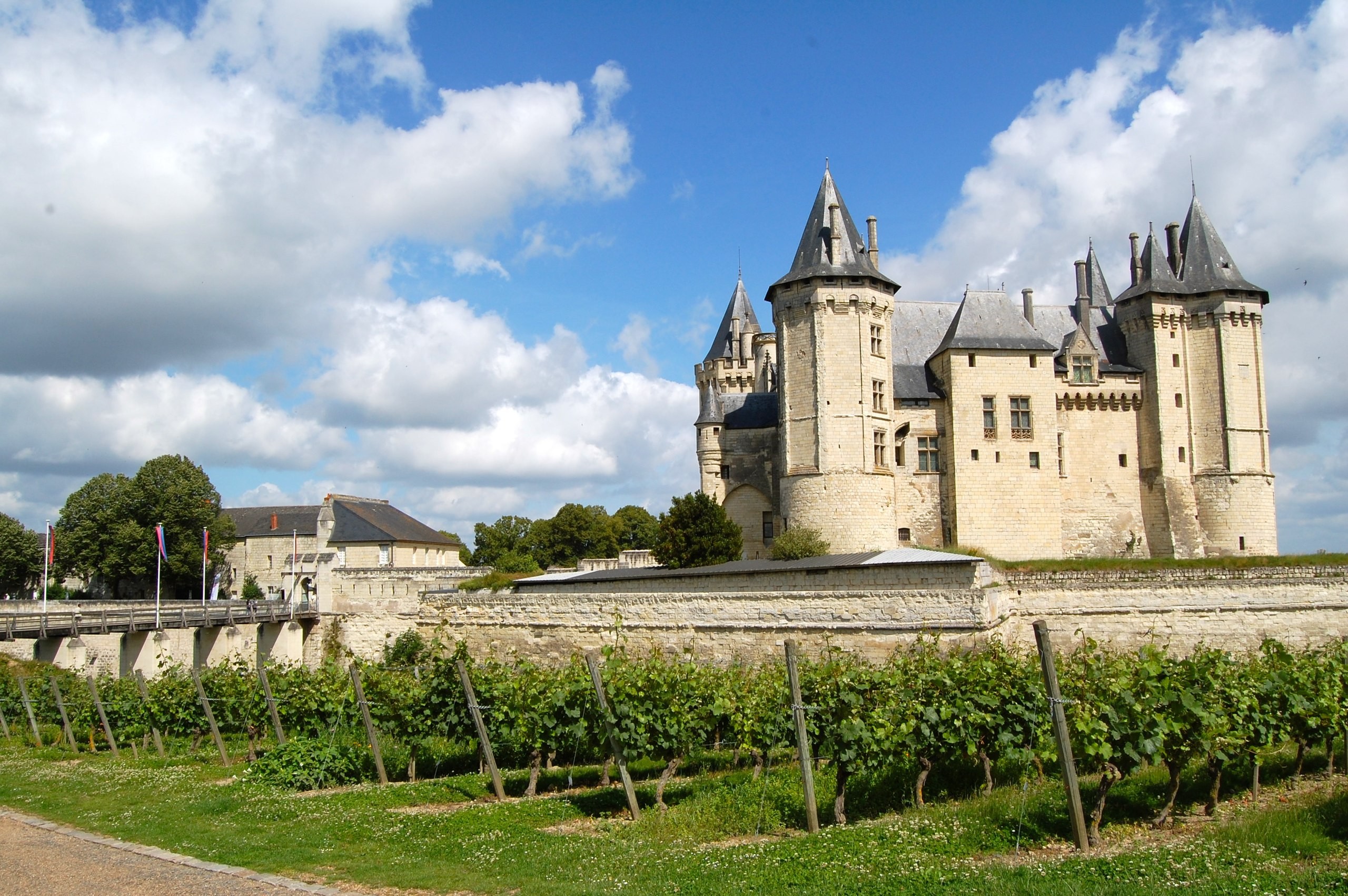 Wine Tasting Special: Tour The Loire Valley From The Atlantic To Orléans