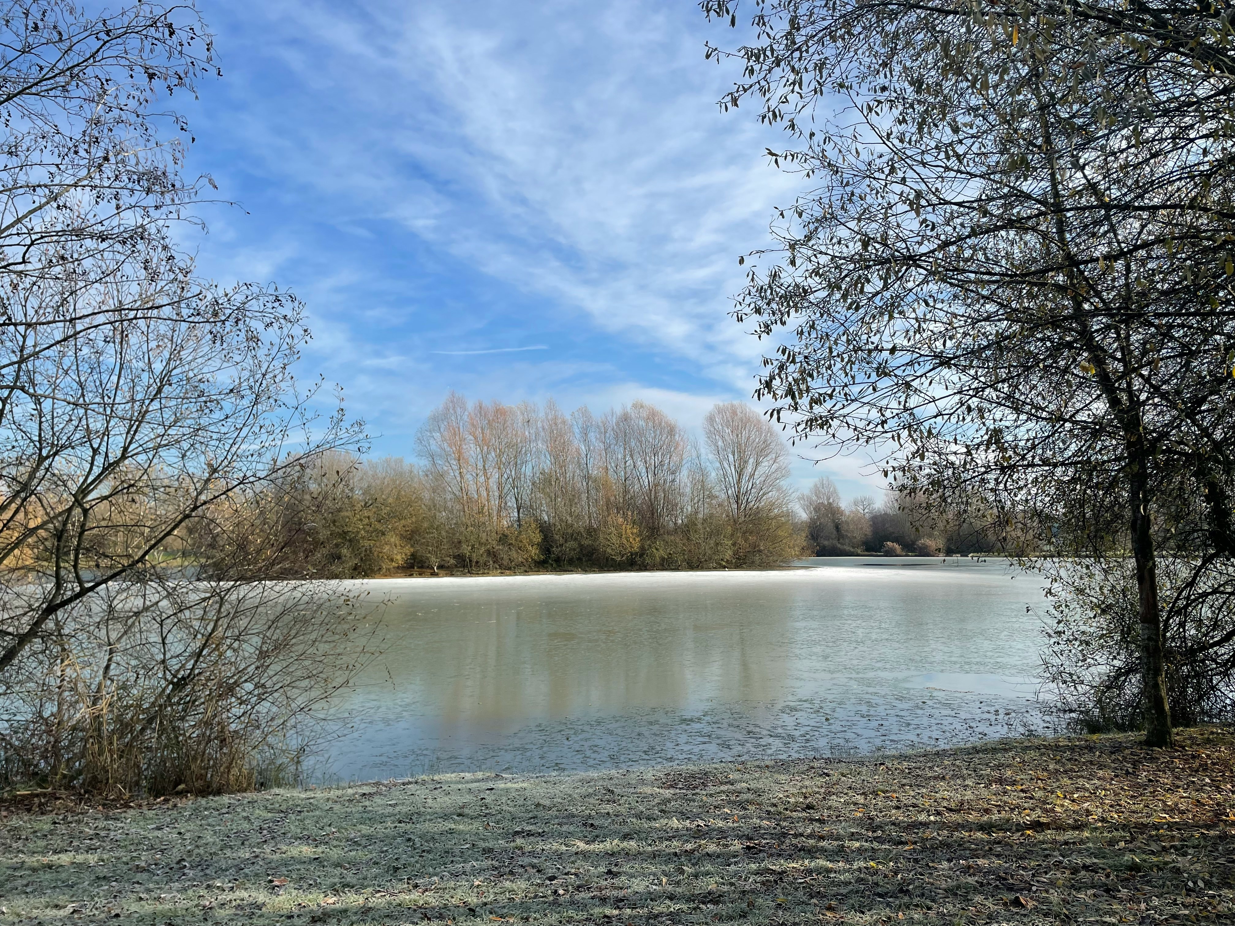 Register for Winter Minis